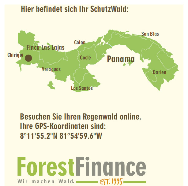 etree-forest-finance-schutzwald